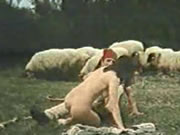 Greek Vintage Sheep Prairie Sexe